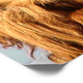 Big Ape Poster (Ecke)