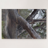 Big Australian Gum Tree Logs, Puzzle (Horizontal)