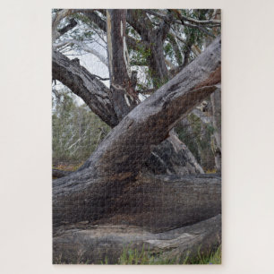 Big Australian Gum Tree Logs, Puzzle