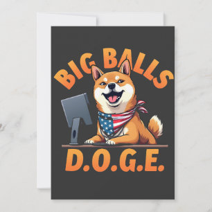 Big Balls Doge Department of Government Efficiency Ankündigung