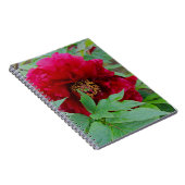 Big Bashful Burgundy Notizblock (Rechte Seite)