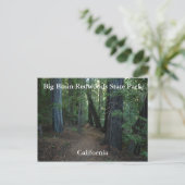 Big Basin Redwoods Staat... Postkarte (Stehend Vorderseite)