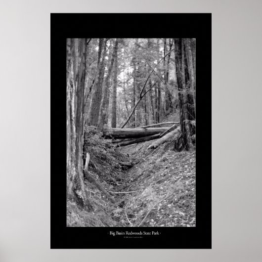 Big Basin Redwoods State Park Poster (Vorne)