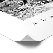 Big Basin Redwoods State Park Poster (Ecke)