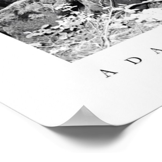 Big Basin Redwoods State Park Poster (Ecke)