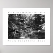 Big Basin Redwoods State Park Poster (Vorne)