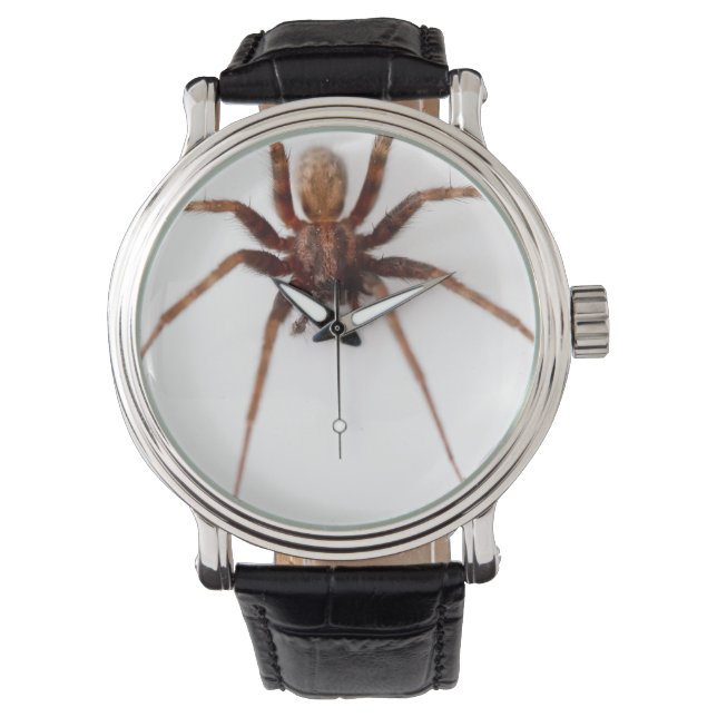 Big Beängstigend Spider Armbanduhr (Vorderseite)