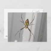 Big Beängstigend Spider Postkarte (Vorne/Hinten)