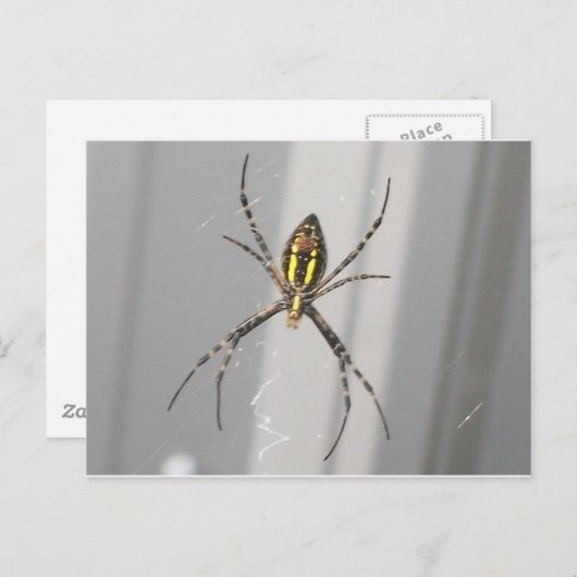Big Beängstigend Spider Postkarte (Vorne/Hinten)