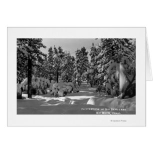 Big Bear Lake, CA im Winter Snow View