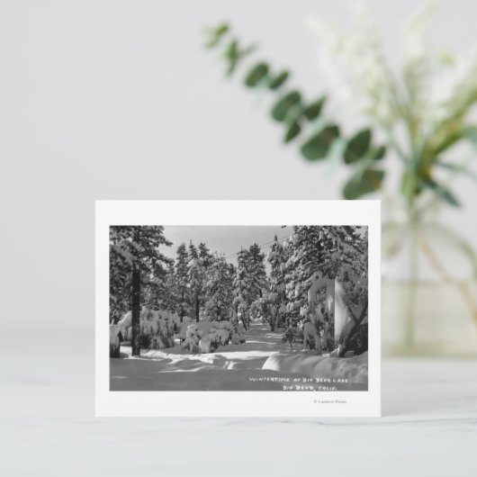 Big Bear Lake, CA im Winter Snow View Postkarte (Stehend Vorderseite)