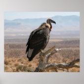 Big Beautiful Bird Poster (Vorne)