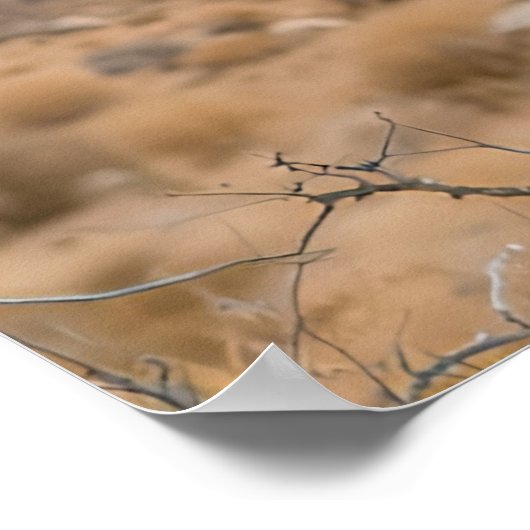 Big Beautiful Bird Poster (Ecke)