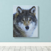 Big Beautiful Grey Wolf in freier Wildbahn Leinwanddruck (Insitu (Holzboden))