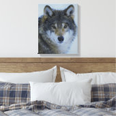 Big Beautiful Grey Wolf in freier Wildbahn Leinwanddruck (Insitu (Schlafzimmer))
