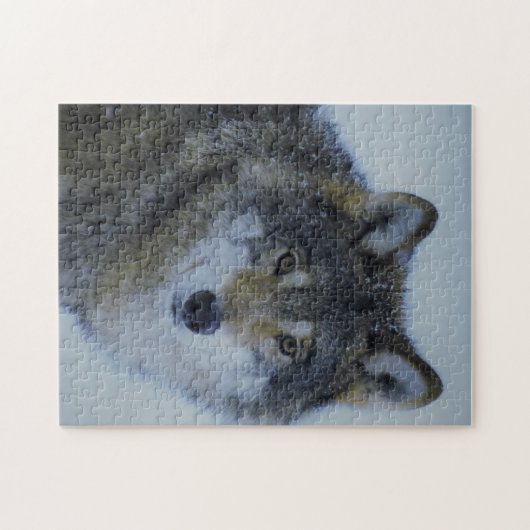 Big Beautiful Grey Wolf in freier Wildbahn Puzzle (Horizontal)