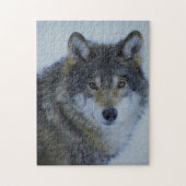 Big Beautiful Grey Wolf in freier Wildbahn Puzzle (Vertikal)