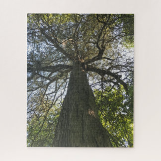Big Beautiful Tree Puzzle
