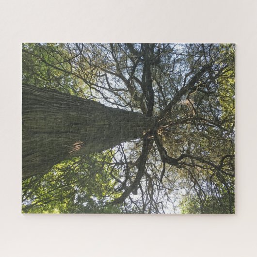 Big Beautiful Tree Puzzle (Horizontal)