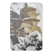 Big Beautiful Wild Wolf im Schnee Badematte (Vorderseite Vertikal)