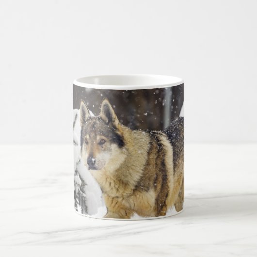Big Beautiful Wild Wolf im Schnee Coffee Tasse (Mittel)