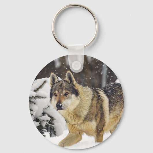 Big Beautiful Wild Wolf im Schnee Schlüsselanhänger (Vorderseite)