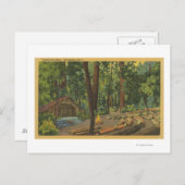 Big Becken, Kalifornien "Camp Fire Bowl" Ansicht Postkarte (Vorne/Hinten)