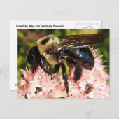 Big Bee 93 ~ Postkarte (Vorne/Hinten)