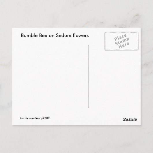 Big Bee 93 ~ Postkarte (Rückseite)