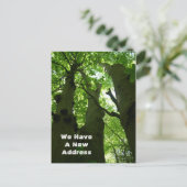 Big Beech Trees Summer Forest Moving Ankündigungspostkarte (Stehend Vorderseite)