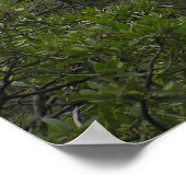 Big Bend Canyon Poster (Ecke)