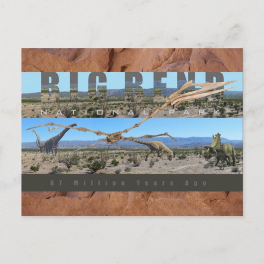 BIG BEND NAT’L PARK-Texas-Fossil-Entdeckungsausste Postkarte (Vorderseite)