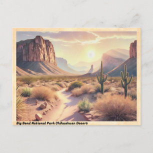 Big Bend National Park Chihuahuan-Wüste Vintage Postkarte