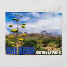 Big Bend Texas U.S. National Park Post Card Postkarte