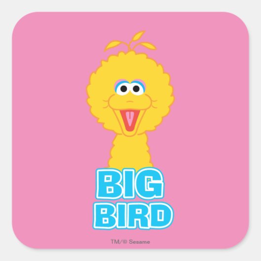 Big Bird Classic Style Quadratischer Aufkleber (Vorderseite)