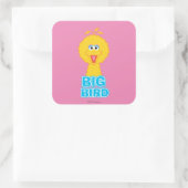 Big Bird Classic Style Quadratischer Aufkleber (Tasche)