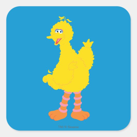 Big Bird Graphic Quadratischer Aufkleber (Vorderseite)
