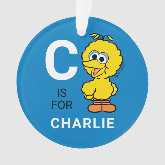 Big Bird | Personalisierter Name mit Foto Ornament (Vorderseite)