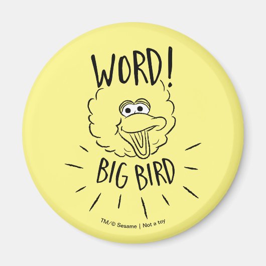 Big Bird Skate Logo - Word! Big Bird Magnet (Vorne)