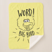 Big Bird Skate Logo - Word! Big Bird Sherpadecke (Vorderseite)