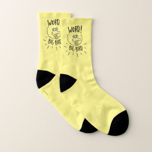 Big Bird Skate Logo - Word! Big Bird Socken (Paar)