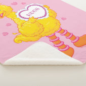Big Bird Valentine Sherpadecke (3/4)