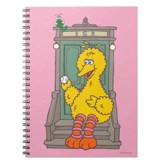Big Bird Vintag Notizblock (Vorderseite)