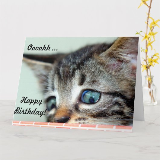Big Birthday Card Niedlich Kitten freut sich auf G Karte (Gelbe Blume)