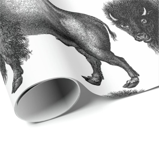 Big Bison Buffalo Thunder_Cove Geschenkpapier (Rolleneckpunkt)