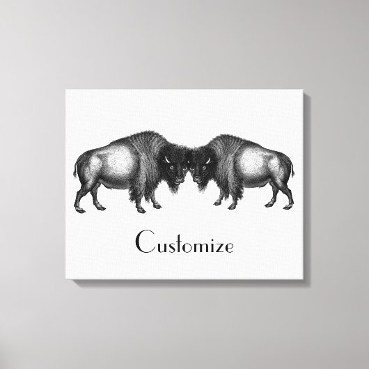 Big Bison Buffalo Thunder_Cove Leinwanddruck (Vorderseite)