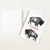 Big Bison Buffalo Thunder_Cove Planer (Anzeige)