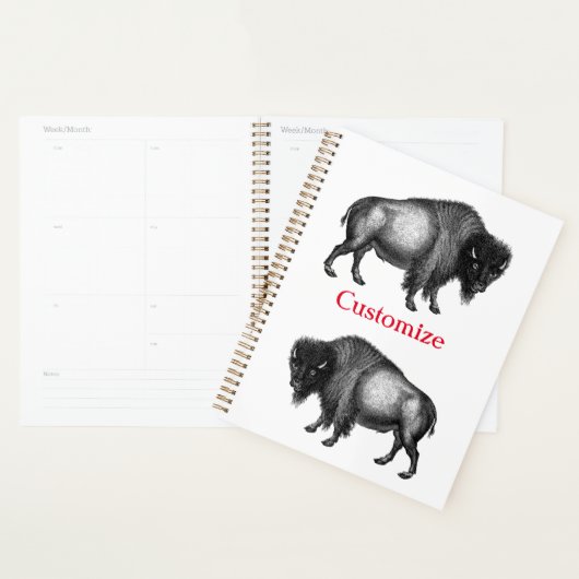 Big Bison Buffalo Thunder_Cove Planer (Anzeige)