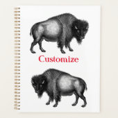 Big Bison Buffalo Thunder_Cove Planer (Vorderseite)