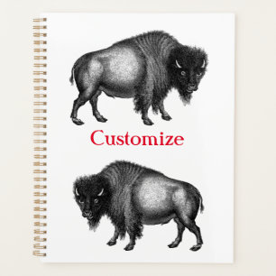 Big Bison Buffalo Thunder_Cove Planer